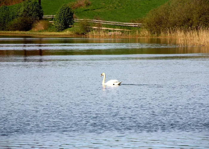 Lägenhetshotell Bedder At Oslo Airport - Serviced Jessheim